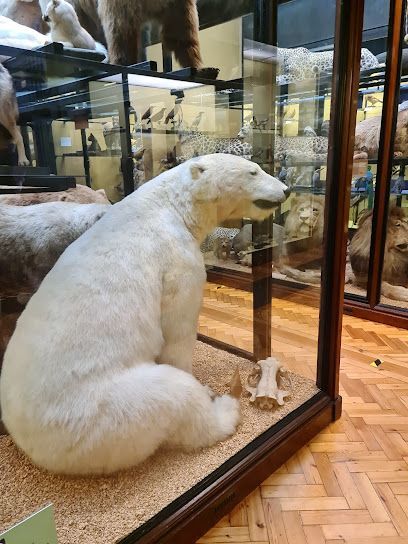 Natural History Museum at Tring